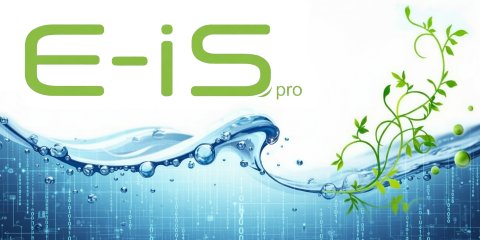 E-IS